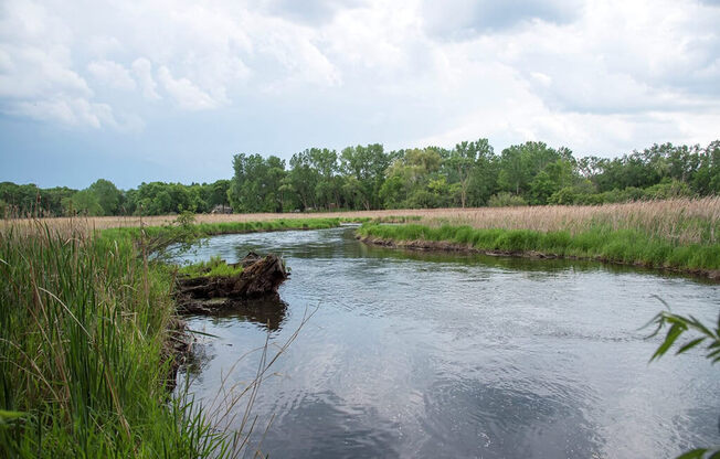 Breathtaking Lake-View at Overlook on the Creek, Minnetonka, 55305