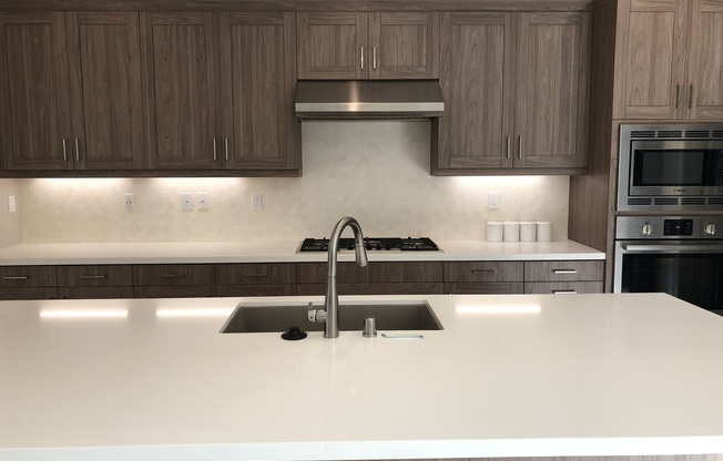 Beautiful Home in Casavia @ Pacific Highlands Ranch