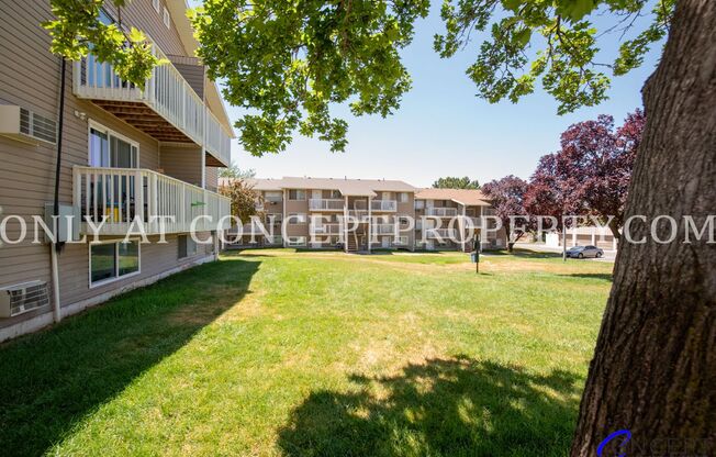 Studio, 1 bath, 360 sqft, $710, Unit 275