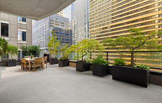 3 beds, 3 baths, $20,000, Unit 11BC