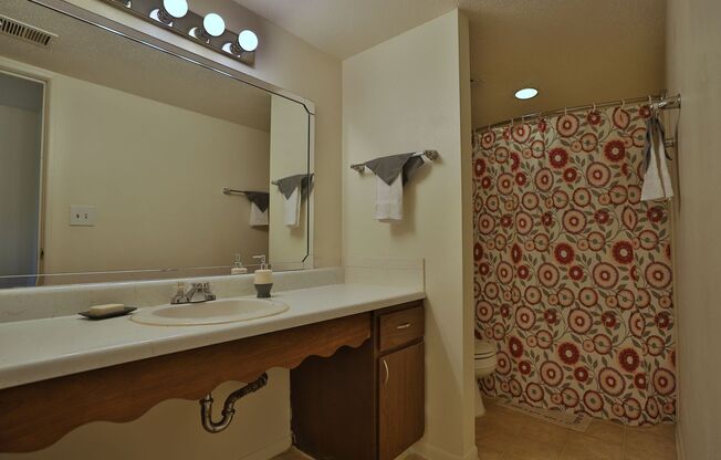 1 bed, 1 bath, 800 sqft, $850, Unit 1420 West Glen Avenue Apt 210