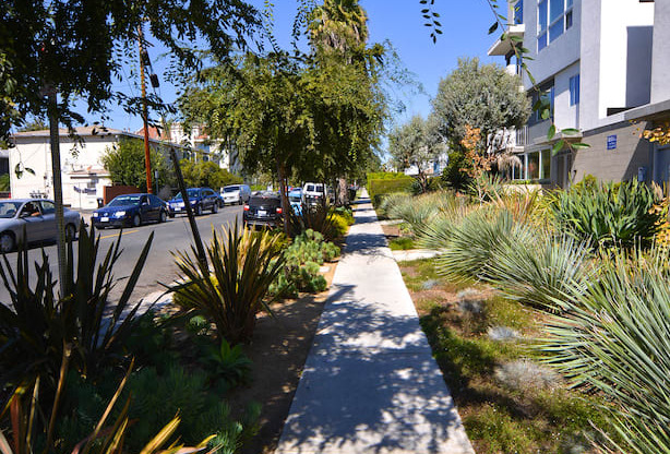 Mar Vista Lofts - Lush Landscaping