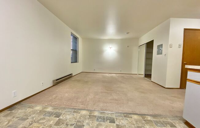 Studio, 1 bath, 413 sqft, $1,295, Unit 212