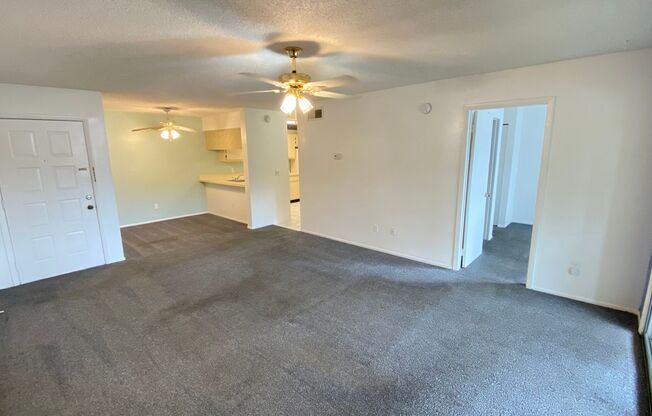 1 bed, 1 bath, $1,195