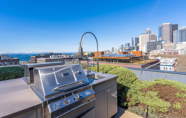 a barbecue grill with a view of the city