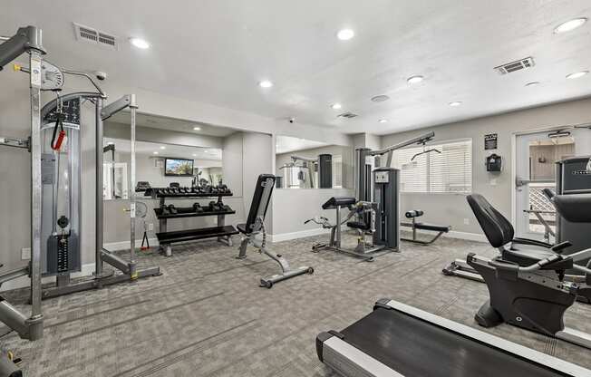 A well-equipped gym with a variety of machines and weight training equipment.