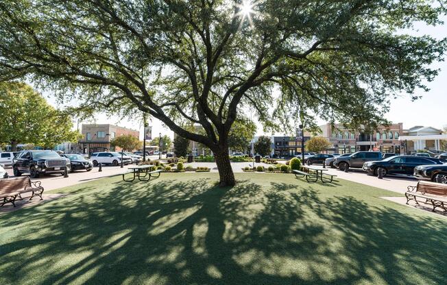 Downtown Celina features shaded green space, walkable streets, and local shops, offering a welcoming setting for everyday errands.