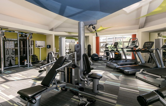 a gym with weights and cardio equipment on the floor and a window