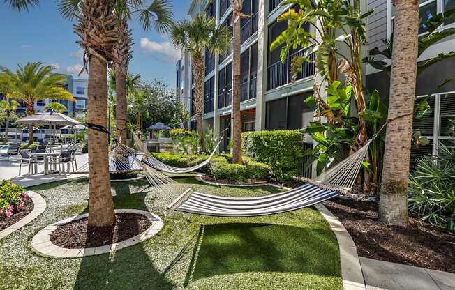 a courtyard with hammocks and grass and palm trees