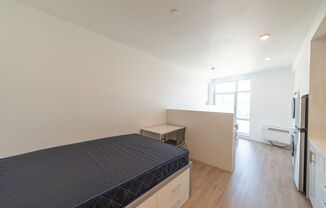 Studio, 1 bath, 370 sqft, $1,448, Unit 702B (Shared Male)