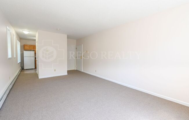 Studio, 1 bath, 403 sqft, $1,080, Unit 101