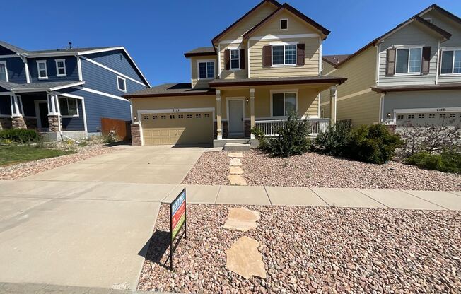 7159 Red Cardinal Loop