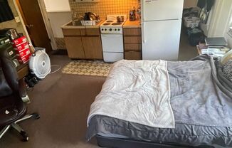 Studio, 1 bath, $1,005