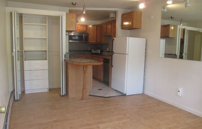 Studio, 1 bath, 300 sqft, $1,095, Unit 108