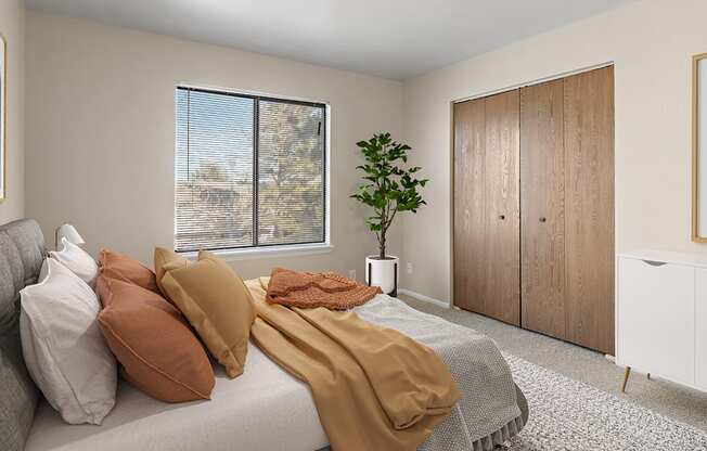 Castlerock Apartment Homes