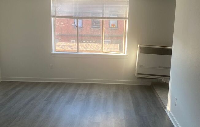 Studio, 1 bath, 330 sqft, $1,375, Unit Unit 209