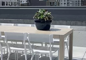 Studio, 1 bath, $4,100, Unit 8C
