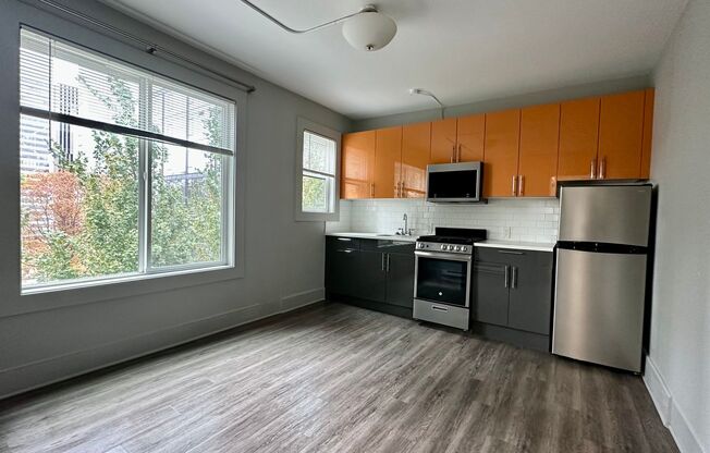 1 bed, 1 bath, 355 sqft, $1,425, Unit 201