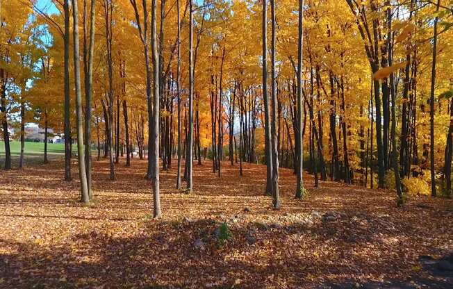 Beautiful Grounds