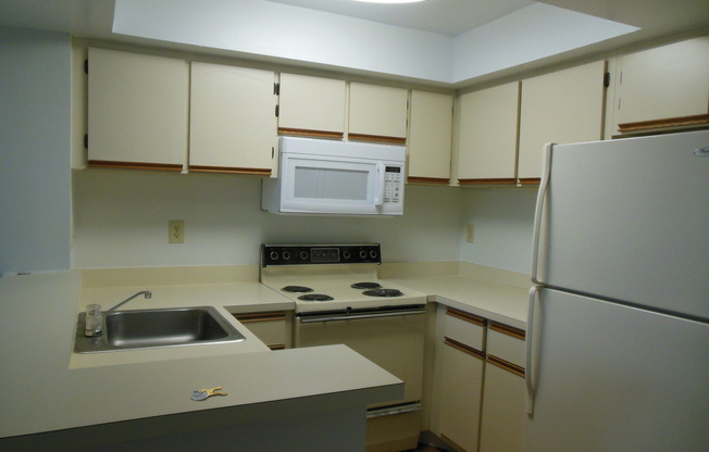 1 bed, 1 bath, $1,500, Unit Unit-1