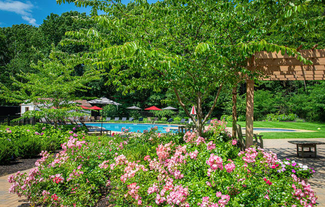 the pool is surrounded by flowers and trees