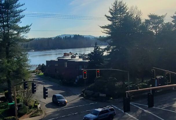 Studio, 1 bath, 456 sqft, $1,295, Unit 1105