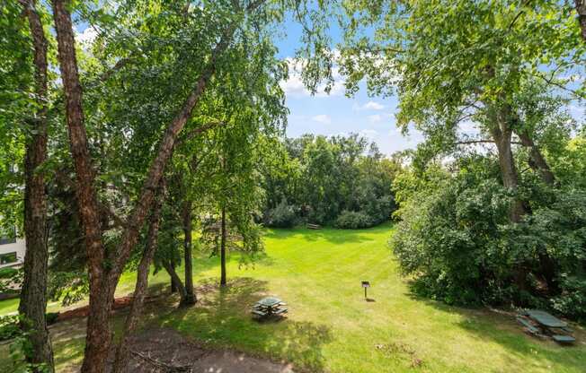 a view of a park with trees and a grass field