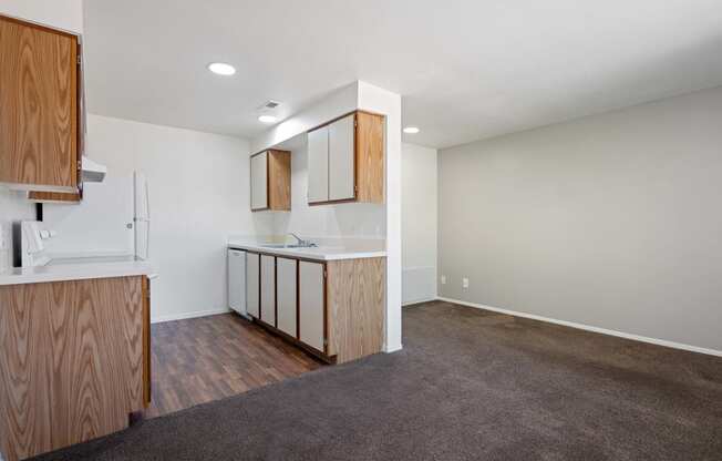 a living room with a kitchen and a carpeted floor