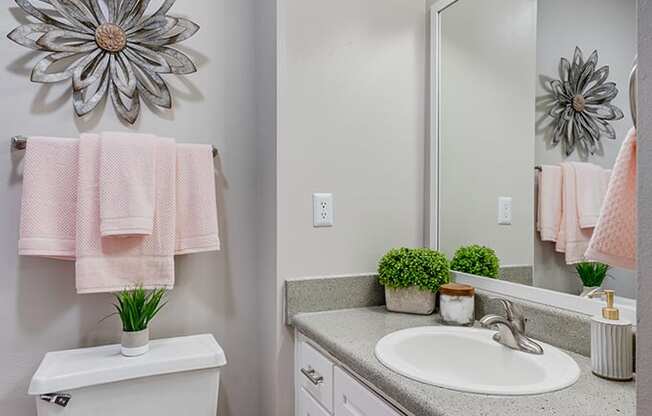 Large Bathroom Vanity with White Cabinetry