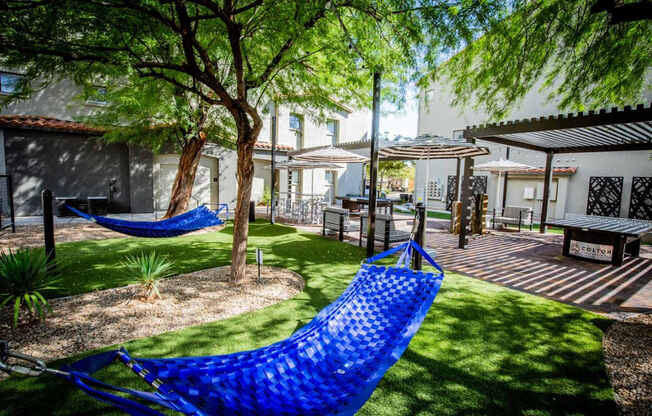 Colton Apartments grassy area with hammocks