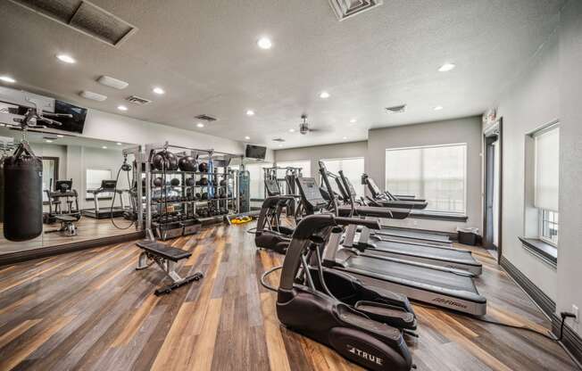 the gym is equipped with cardio equipment and weights