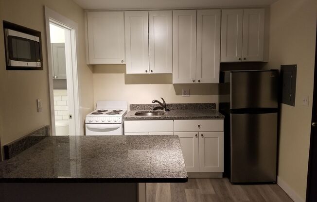 Studio, 1 bath, $695, Unit 01