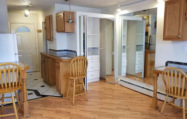 Studio, 1 bath, 250 sqft, $1,245, Unit 202