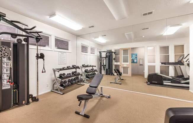 A gym with a variety of equipment including weights, a bench, and a treadmill.