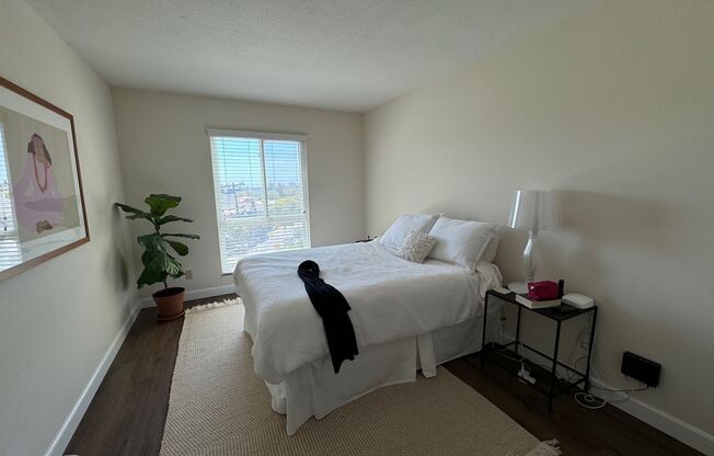 1 bed, 1 bath, 720 sqft, $2,345, Unit 202