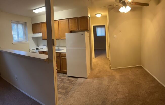 320 CHESTER PIKE