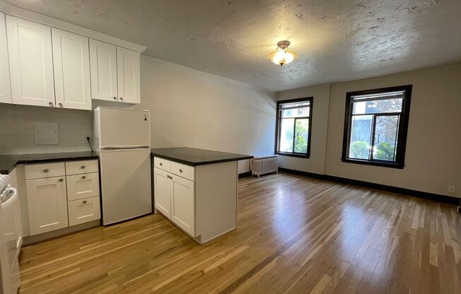 Studio, 1 bath, 330 sqft, $1,450, Unit 112