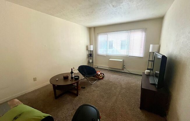 1 bed, 1 bath, $850, Unit 313