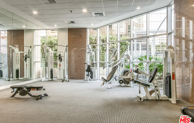 1 bed, 2 baths, 1,200 sqft, $3,800, Unit 1506