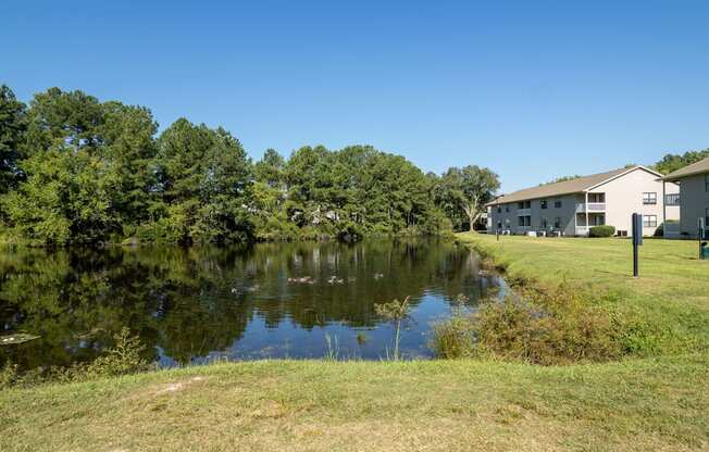 a pond in front of a house with a building in the background