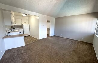 Studio, 1 bath, 345 sqft, $1,525, Unit 65