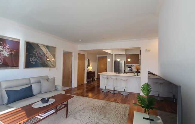 Furnished Light filled, Spacious Condo, Easy 280, 101 and Silicon Valley access - Gustavo Lopez, AMSI