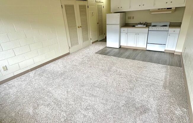 Studio, 1 bath, 302 sqft, $1,100, Unit 302