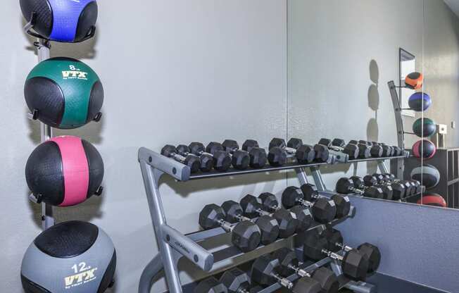 Weights at Level 25 at Durango by Picerne, Las Vegas, NV