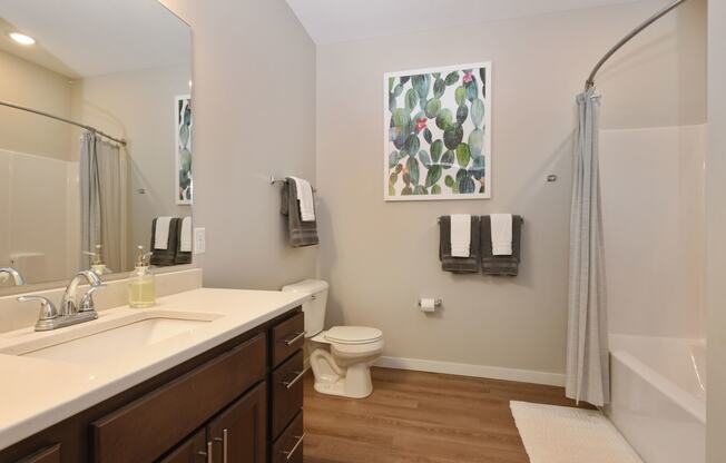 Glen Pond Addition | Bathroom