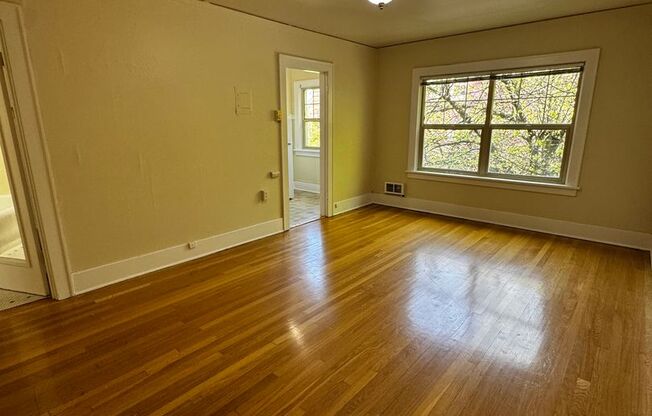 Studio, 1 bath, 472 sqft, $1,395, Unit 207