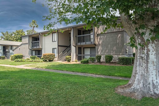 Grassy area in front of apartment building
