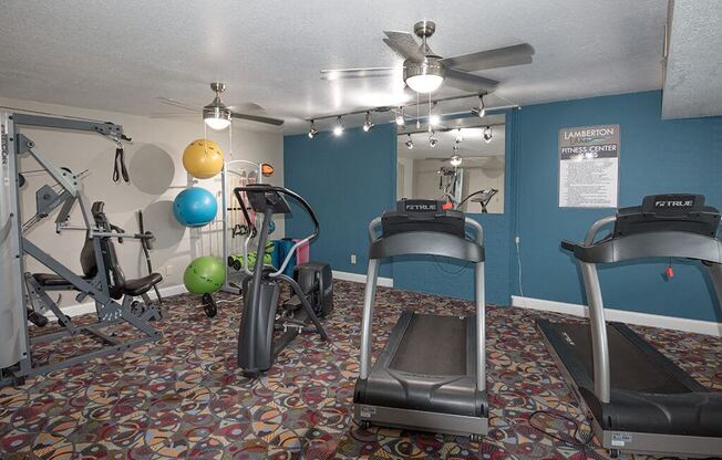 a gym with exercise equipment and a ceiling fan