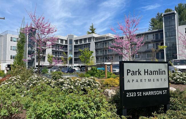 1 bed, 1 bath, 519 sqft, $1,395, Unit 42