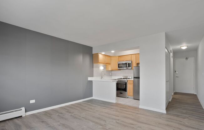 Studio, 1 bath, 298 sqft, $1,475, Unit 542